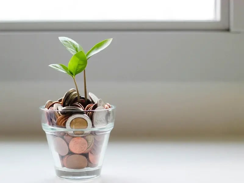 monetisation-strategy