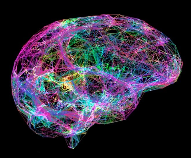 Drawing of a brain in different colours signifying how AI can enhance mobile apps.