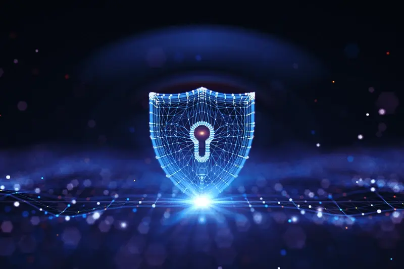 how-do-i-protect-my-apps-source-code-from-being-copied