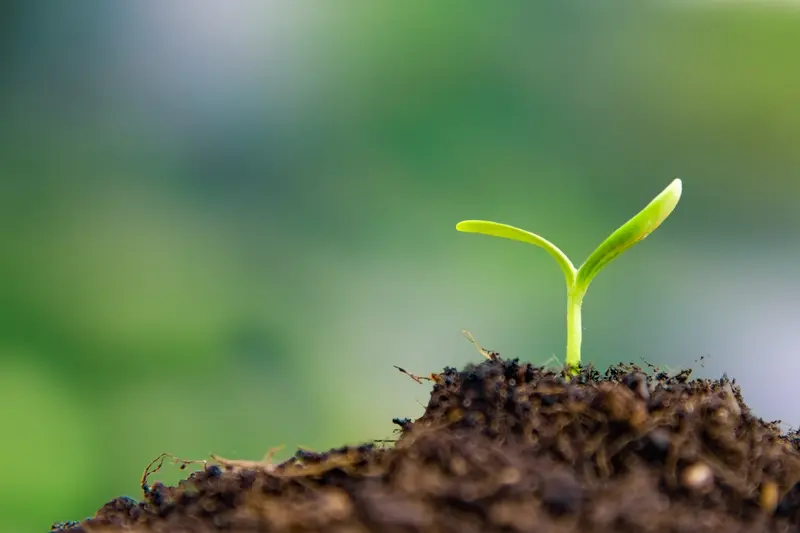 how-do-you-design-an-app-that-scales-with-your-startups-growth